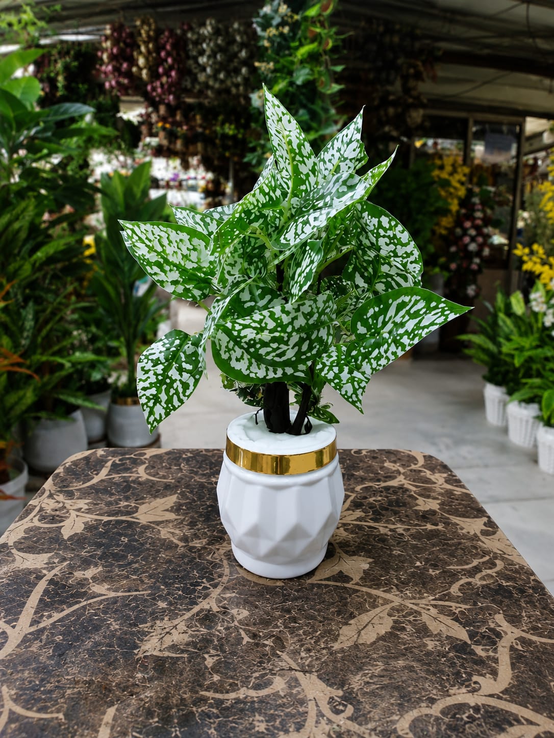 Artificial White Polka Dot Plant in Premium Ceramic Pot