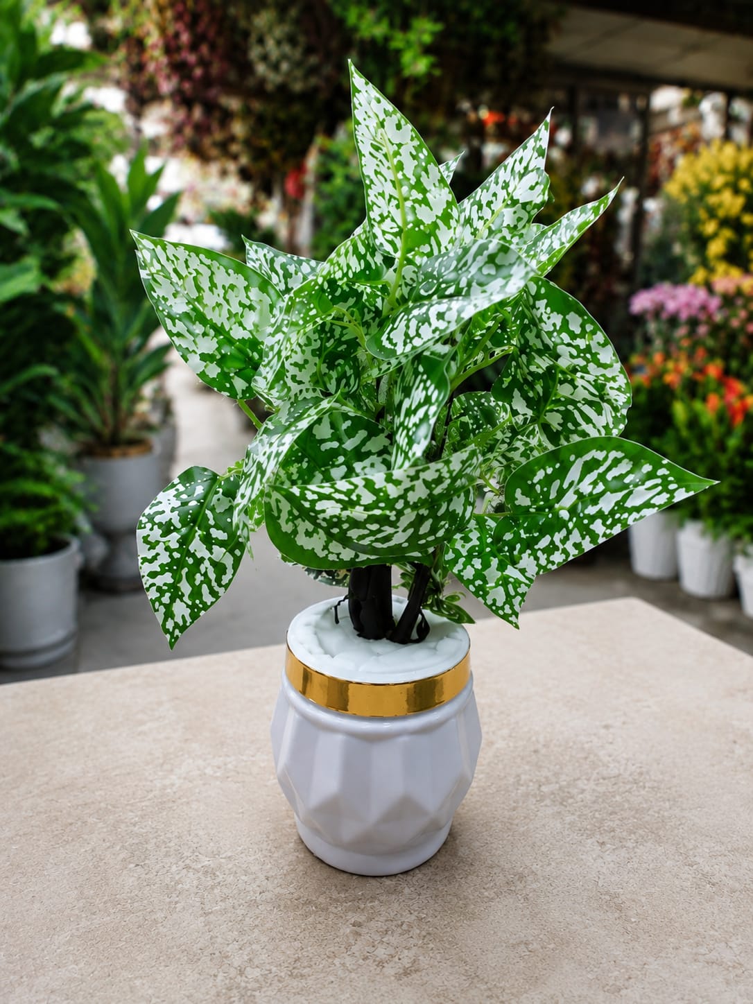 Artificial White Polka Dot Plant in Premium Ceramic Pot