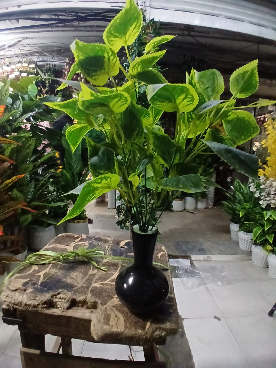 Artificial Variegated Green Foliage Plant in Black Decorative Vase